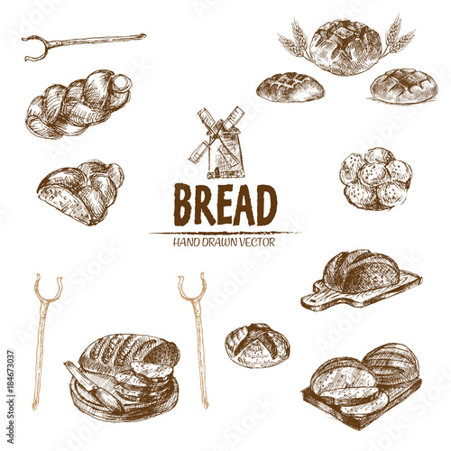 Digital vector detailed line art baked bread