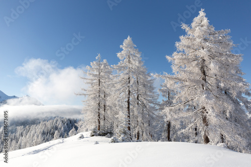 White winter in mountains