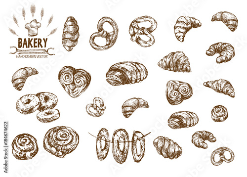 Digital vector detailed line art baked bread