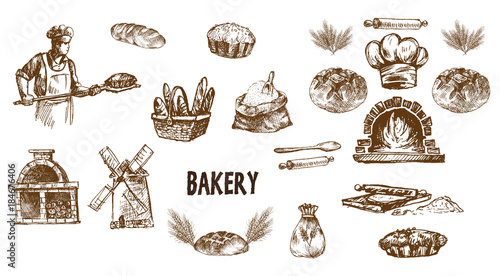 Digital vector detailed line art bakery photo
