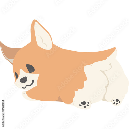 お尻を向ける犬（コーギー）