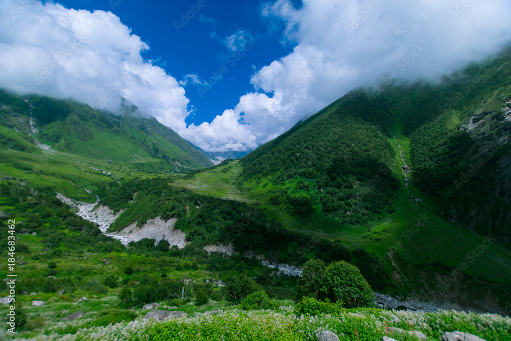 valley of flowers national park, uttarakhand, india Stock Photo Adobe