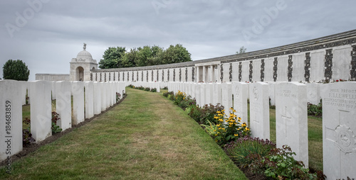Graves in the Tyne Cot Commonwealth War Cemetery photo