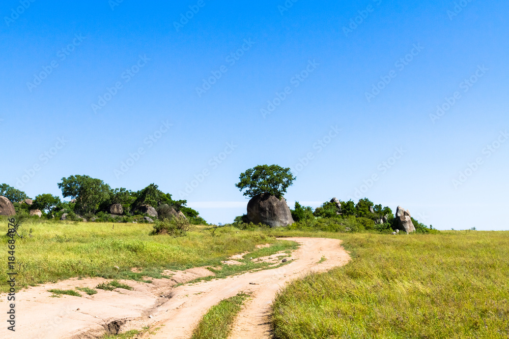 Yellow road in savanna of Serengeti. Tanzania, Africa Yellow road in savanna of Serengeti. Tanzania, Africa