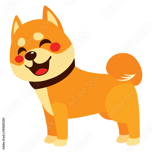Cute colorful happy shiba inu dog smiling isolated on white background side view