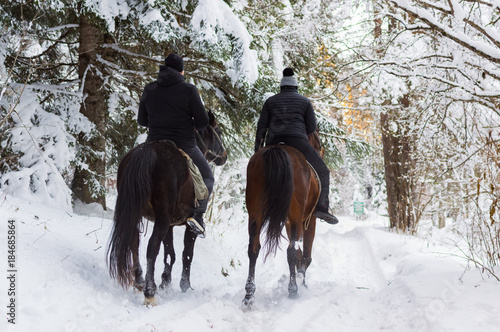Obraz na płótnie Man and woman rides on horses through snowy landscape w salonie
