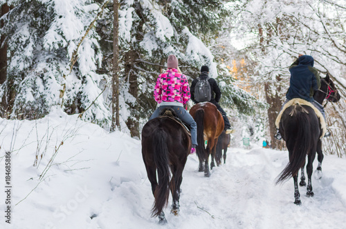 Four riders on horses walk through snowy forest