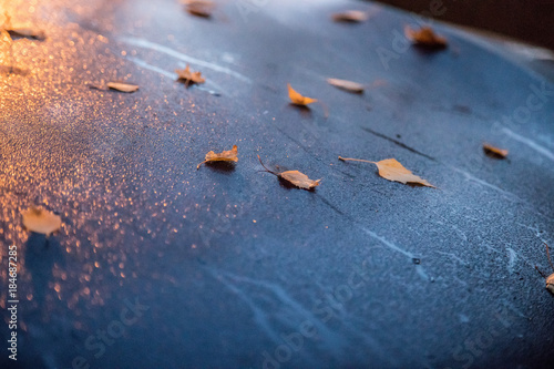 Blätter auf Autodach, Nässe, Herbst 