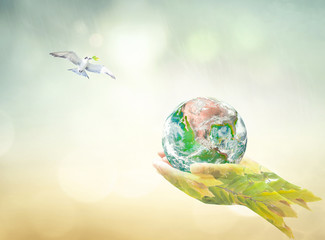 Earth Day concept with globe on leaf hand and white dove flying with olive branch for world peace and environmental conservation in nature background with bokeh and copy space