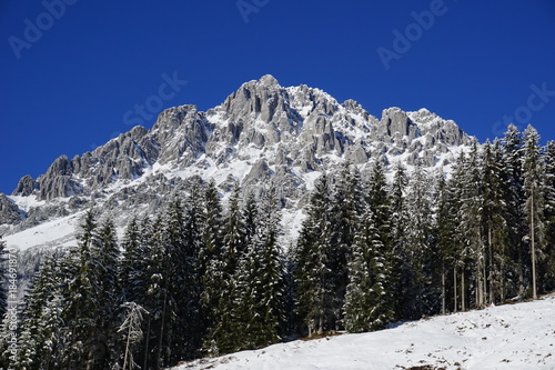 Wilder Kaiser hinter Bergwald im Winter, Tirol, Austria