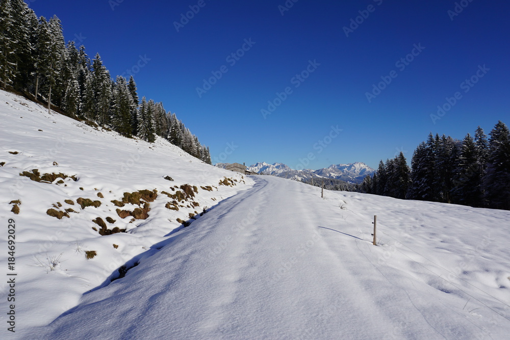 schneebedeckter Weg in den Alpen, Tirol, Austria schneebedeckter Weg in den Alpen, Tirol, Austria