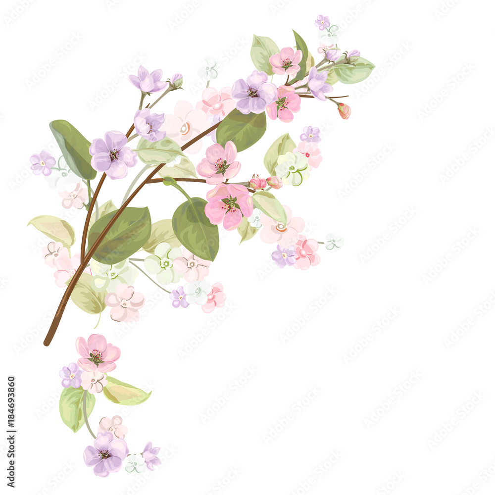 Spring blossom (bloom), branches with mauve, pink apple tree flowers. Bouquet light floret, buds, green leaves on white background. Digital draw, close-up in watercolor style, vintage, vector