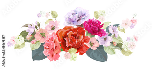 Bouquet of carnation schabaud, spring blossom. Horizontal border with red, mauve, pink flowers, buds, green leaves on white background. Digital draw illustration in watercolor style, vintage, vector