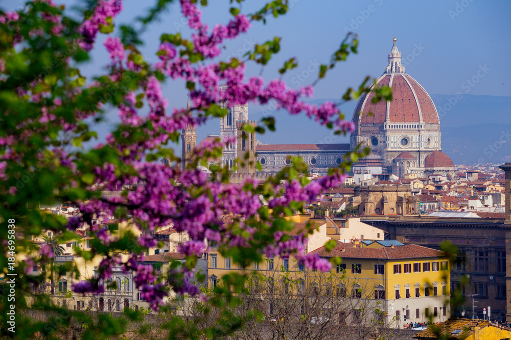 view of Florence