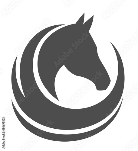 Horse head on a white background