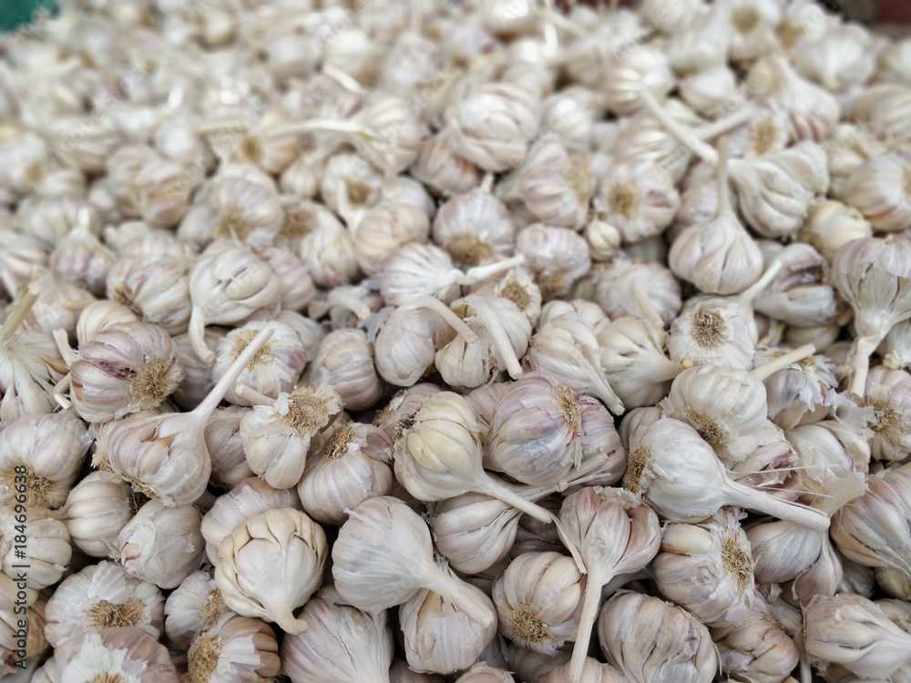 Close-up shot of garlic background Close-up shot of garlic background
