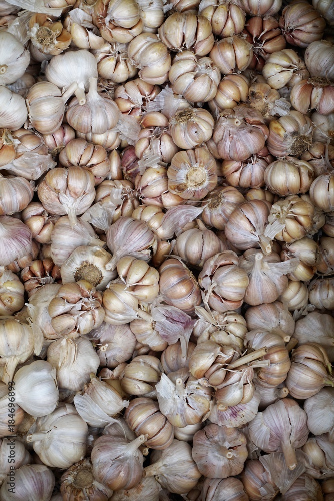 Bunch of garlic in a market in Laos Bunch of garlic in a market in Laos