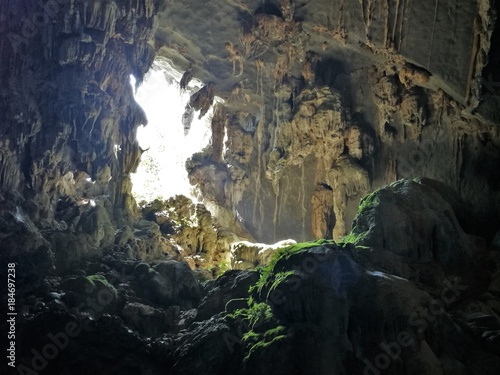 Cave with green plants exotic insight in Laos Asia © Janin