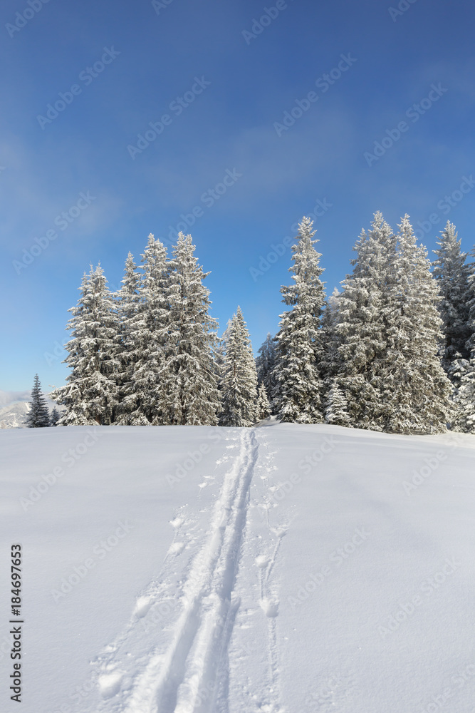 Spur im Schnee in Gebirgslandschaft Stock Photo Adobe Stock