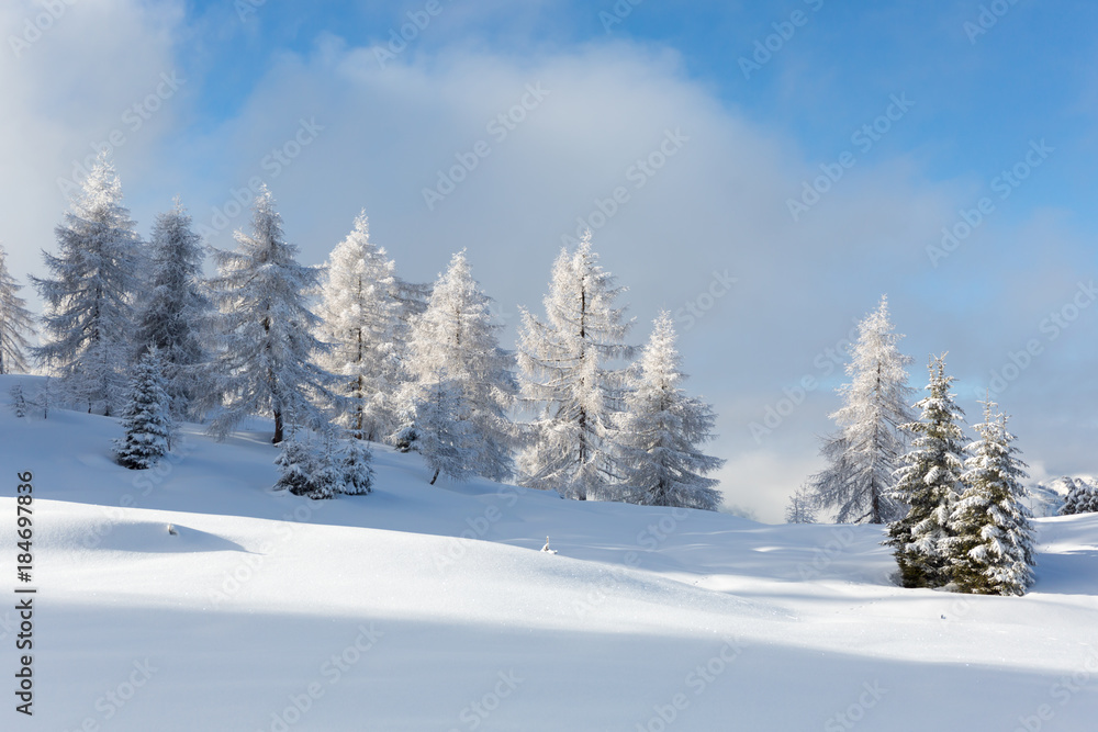 Winter landscape with a lot of snow
