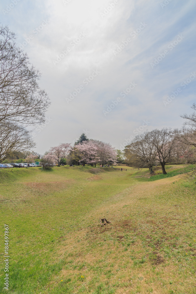 Obraz premium 春の佐倉城跡の風景