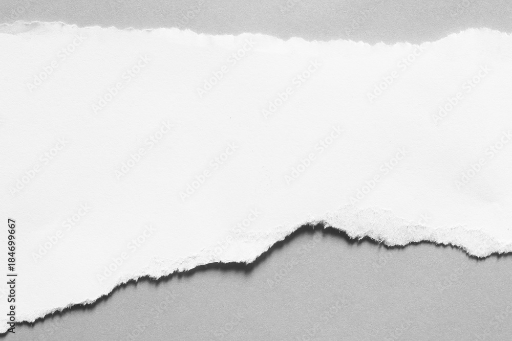 pieces of torn paper. copy space