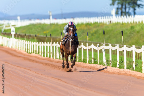 Race Horses Training © ChrisVanLennepPhoto