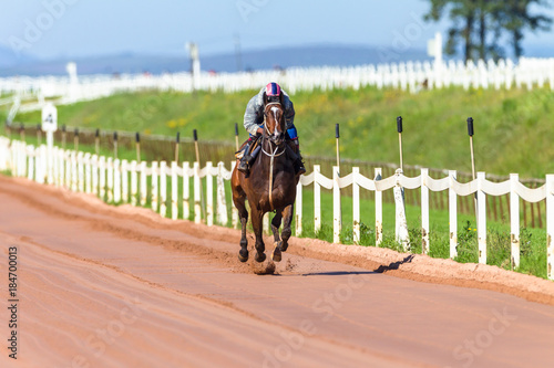Fotografi Race Horses Training
