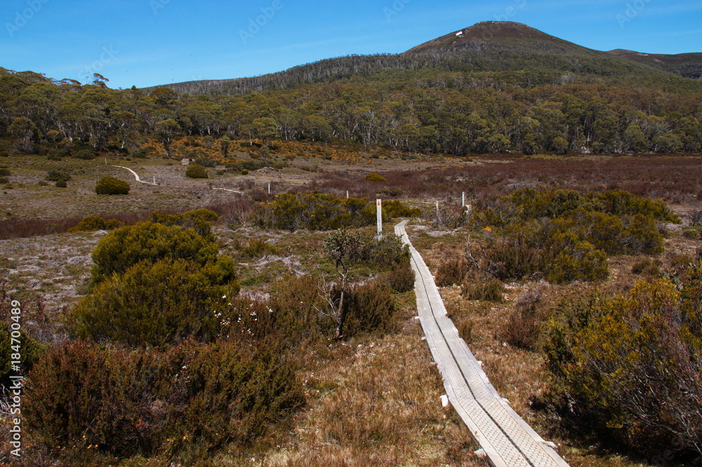 Shadow Lake Trail in Tasmania
