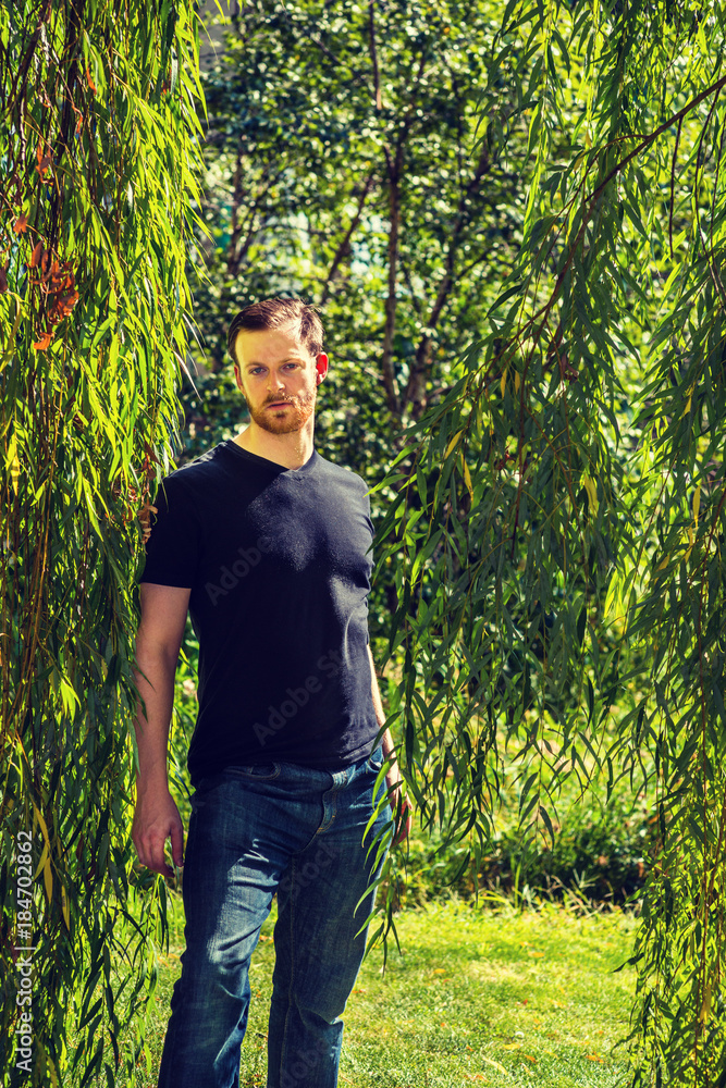 Man Hiding and Seeking. Wearing black v neck T shirt, jeans, a young man with beard, mustache standing by weeping willows, waiting, looking for you. Filtered effect.. Man Hiding and Seeking. Wearing black v neck T shirt, jeans, a young man with beard, mustache standing by weeping willows, waiting, looking for you. Filtered effect..