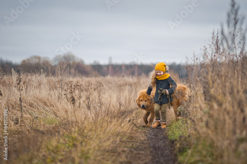 Little girl walks on the field with a huge shaggy dog 9754.