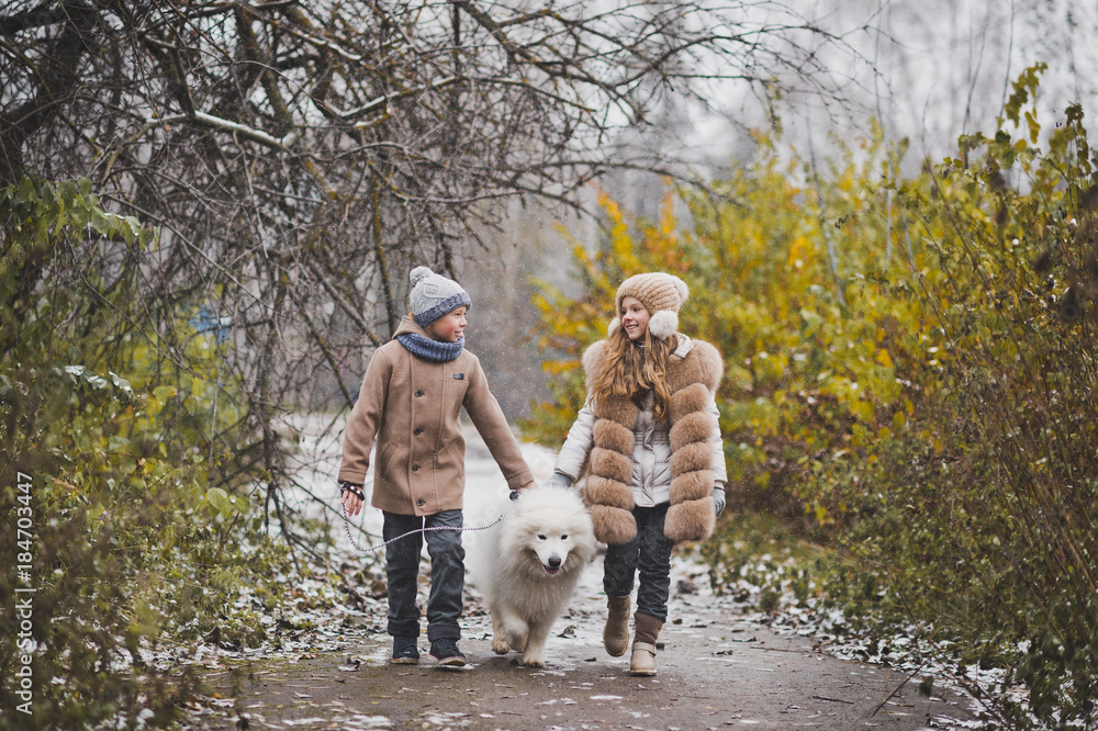 Autumn walk children in company with the Samoyed dog 9837. Autumn walk children in company with the Samoyed dog 9837.