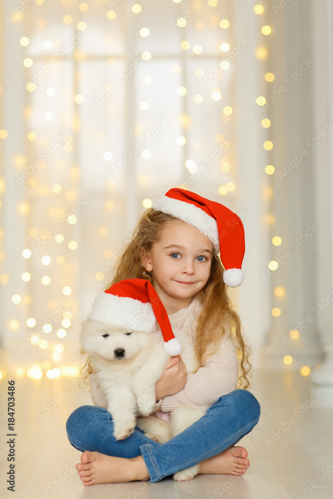 Obraz premium Little girl in santa hat with a samoyed puppy 