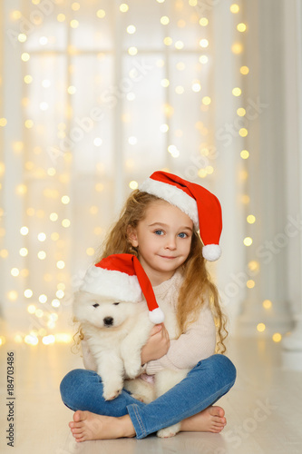 Little girl in santa hat with a samoyed puppy  © Natalia Chircova