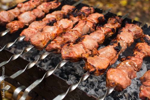 Meat roasted on fire barbecue kebabs on the grill