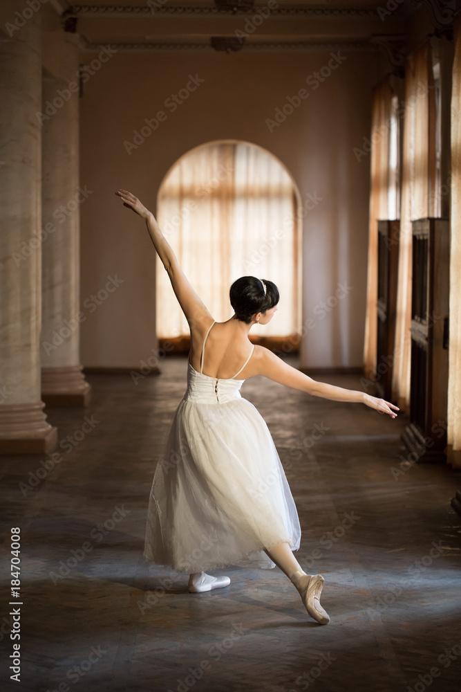 Fototapeta premium ballerina