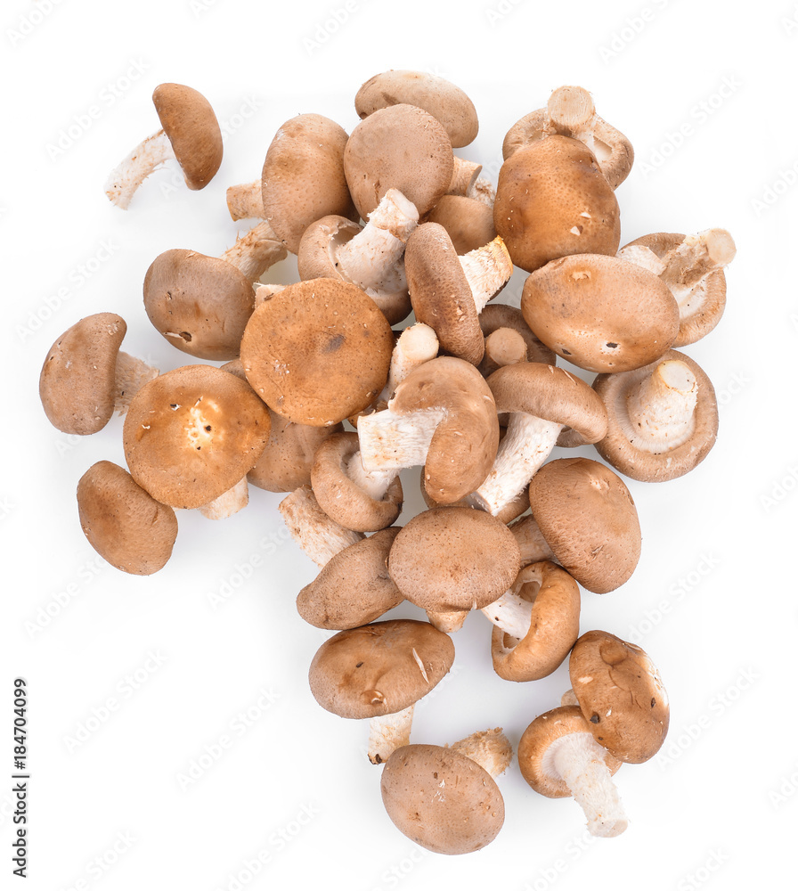 Fototapeta premium Shitake Mushrooms on white background