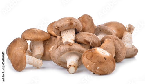 Shitake Mushrooms on white background