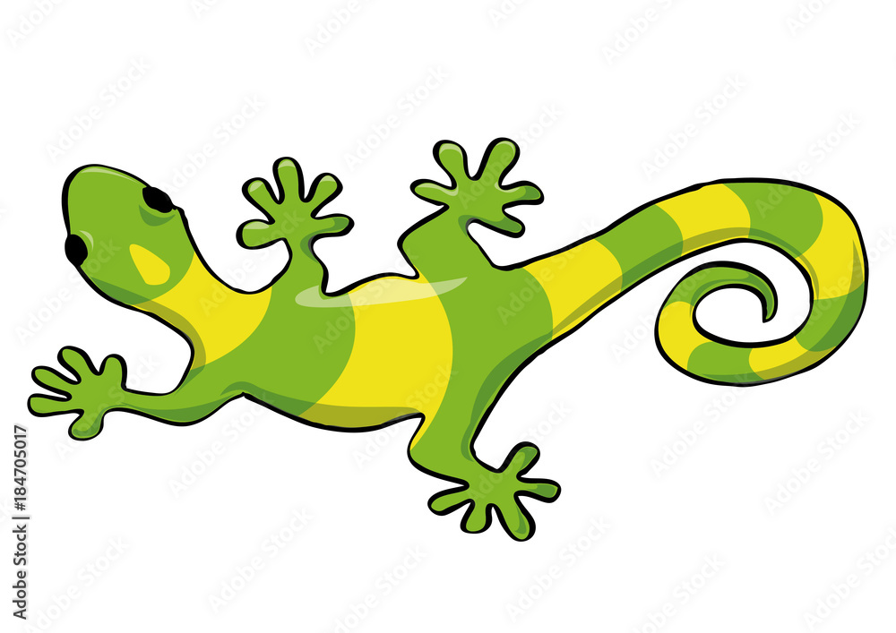 Fototapeta premium Lizard Gecko. Vector illustration