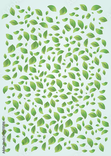 Wallpaper Mural Leaves pattern. Vector illustration Torontodigital.ca
