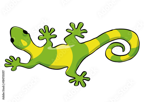 Lizard Gecko. Vector illustration