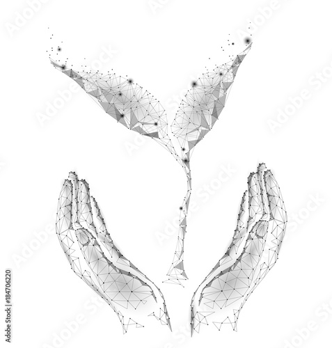 Low poly sprout plant in hand. Save ecology nature world concept. Low poly polygonal triangle particle point line. Gray white leaves glow help donation charity vector illustration