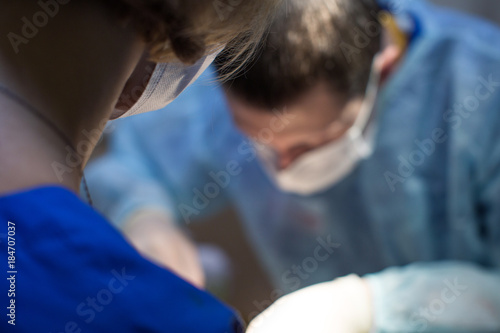 vet doing the surgery. © Artem Zakharov