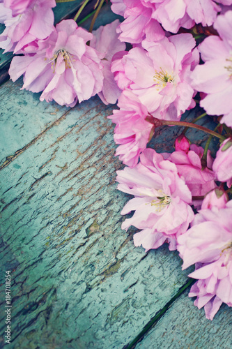 Rustic style Spring background with pink Japanese cherry blossom close up © JulietPhotography