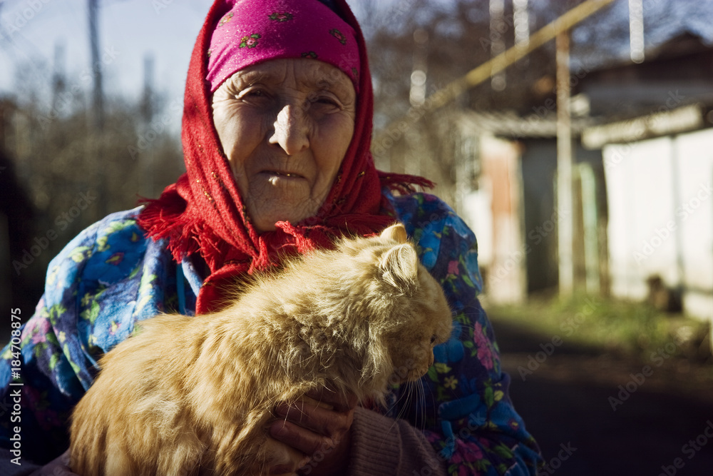 An old grandmother holds a homeless kitten An old grandmother holds a homeless kitten