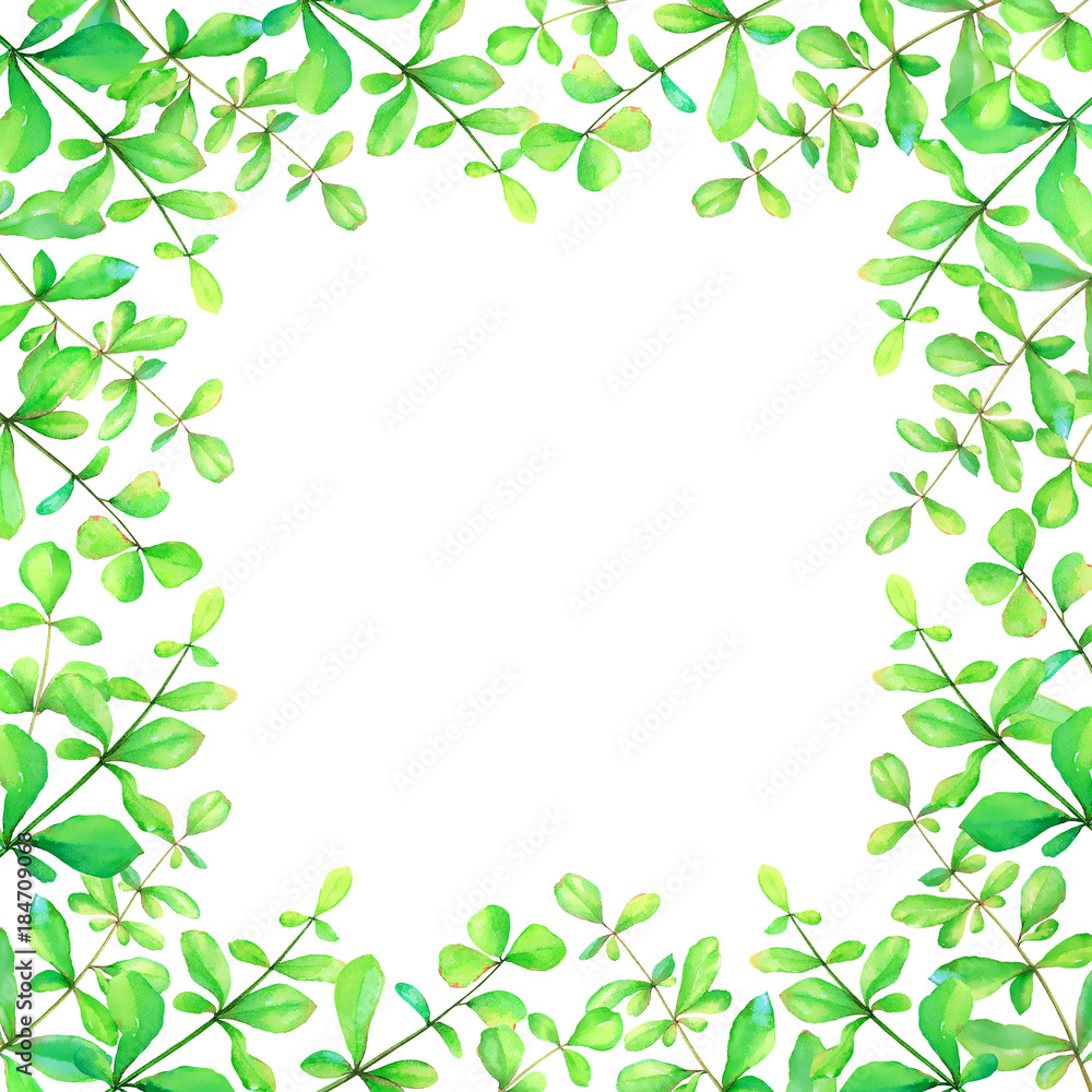 Watercolor floral frame with hand drawn green herbs isolated on white background. Useful for floral design of postcards, greetings, invitations, scrapbook element.