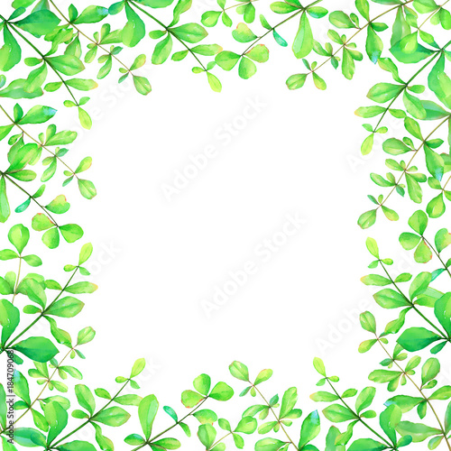 Watercolor floral frame with hand drawn green herbs isolated on white background. Useful for floral design of postcards  greetings  invitations  scrapbook element.