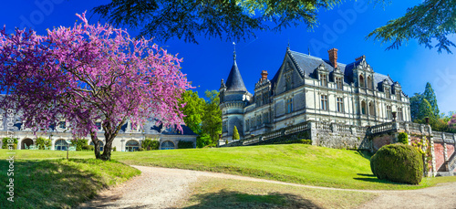 Fototapeta Château de la Bourdaisière France, Renaissance Castle in Loire Valley Wide Panorama 9K, Romantic Pink Flowering Tree on Lush Green Lawn, Historic French Garden and Luxury boutique hotel