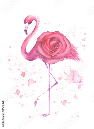 Tropical exotic bird pink f...