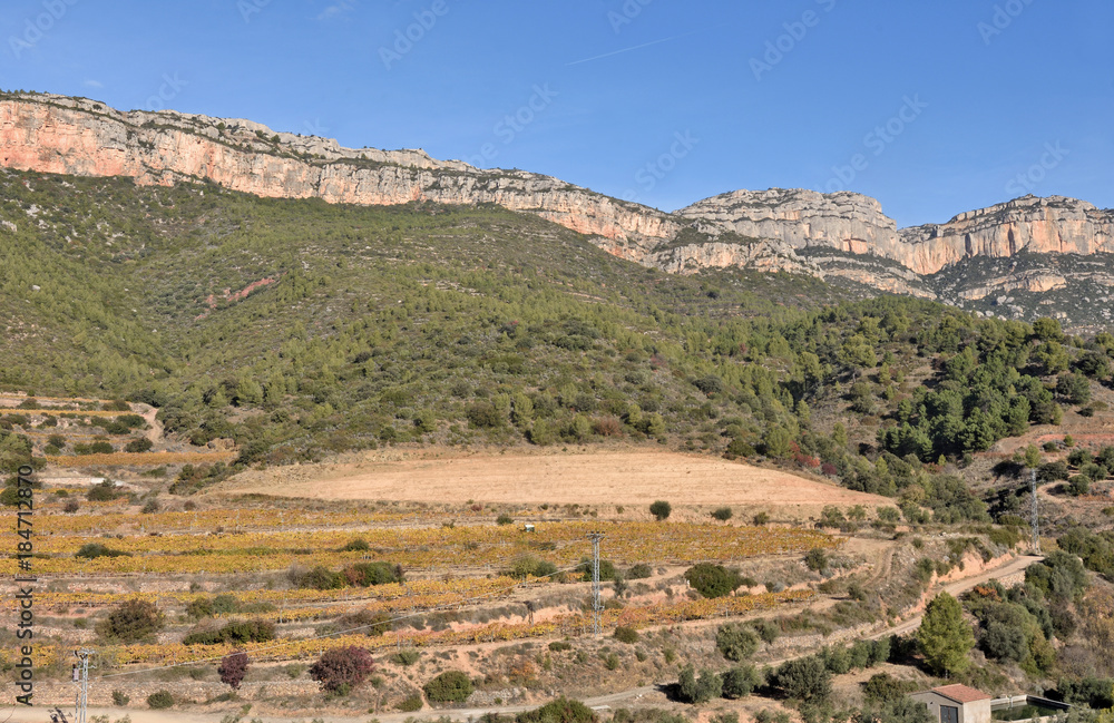 vineyards in autumn near the village of La Vilella Alta, in the background the mountain of Montsant, El Priorat, Tarragona, Spain